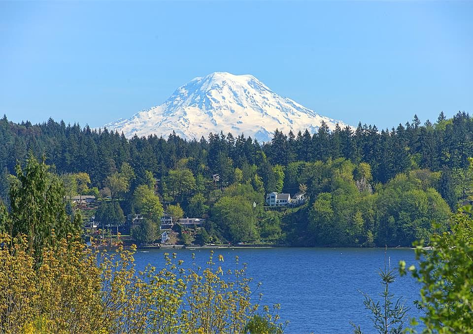 Majestic Mt. Rainier