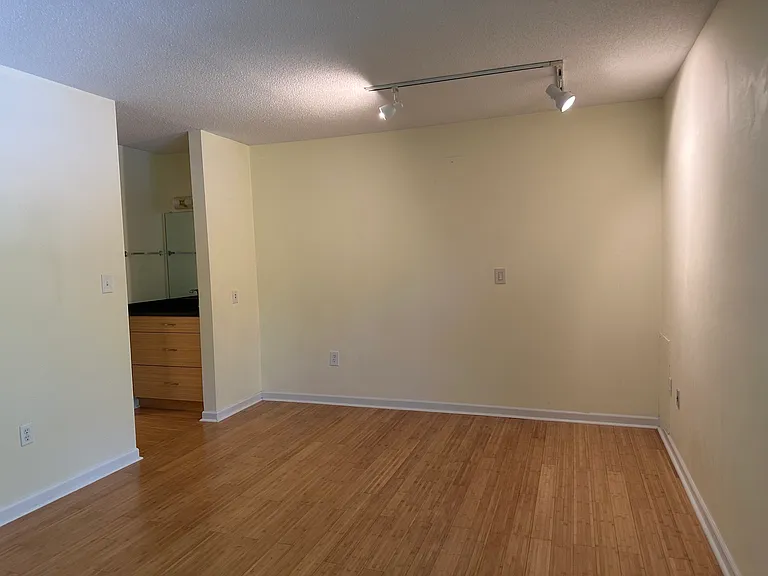 The front bedroom also has its own vanity and a walk-in closet