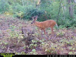 970 Big Round Ave, Luck, WI 54853