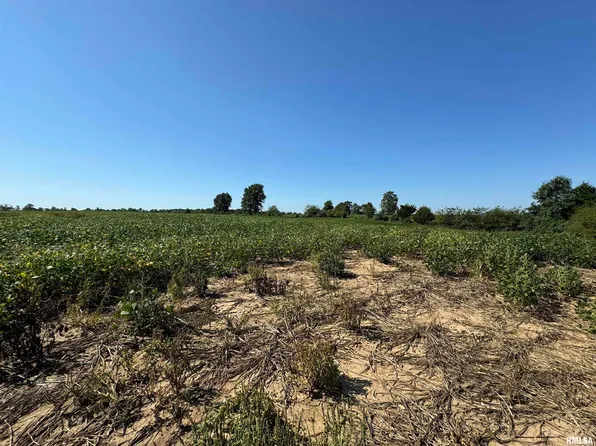 0 N County Rd #1375, Cisne, IL 62823