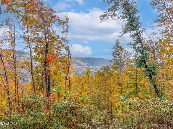 LOT Buffalo Rd #O, Oneida, TN 37841