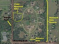 1st image of 11402 Hammock Oaks Ct