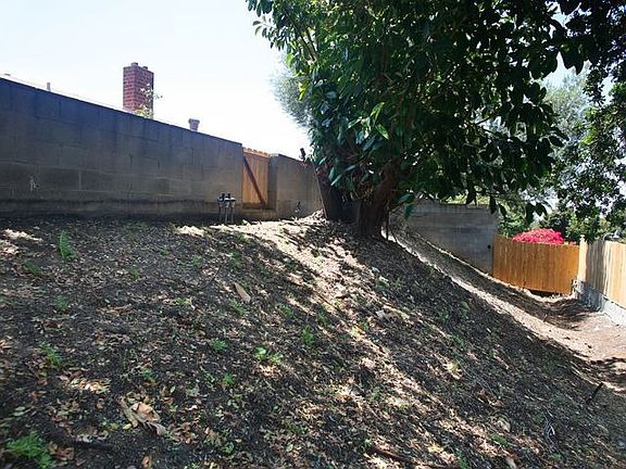 Lower level of back yard.