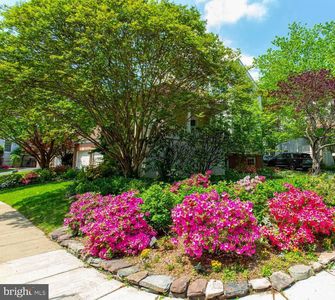 1201 Dartmouth Rd, Alexandria, VA, 22314