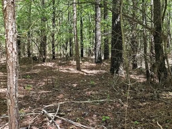 0 Sunset Rd Unit 532, Spencer, TN 38585