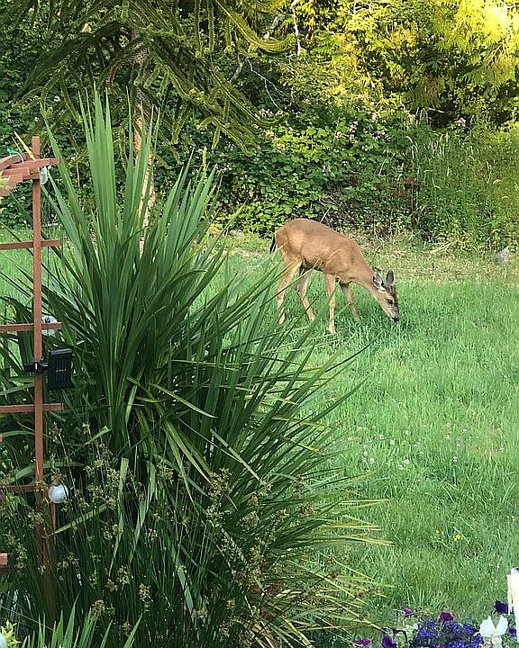 Mama & babies yearly 
