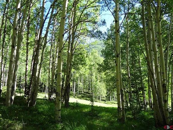 4th image of Parcel 4 County Road 20