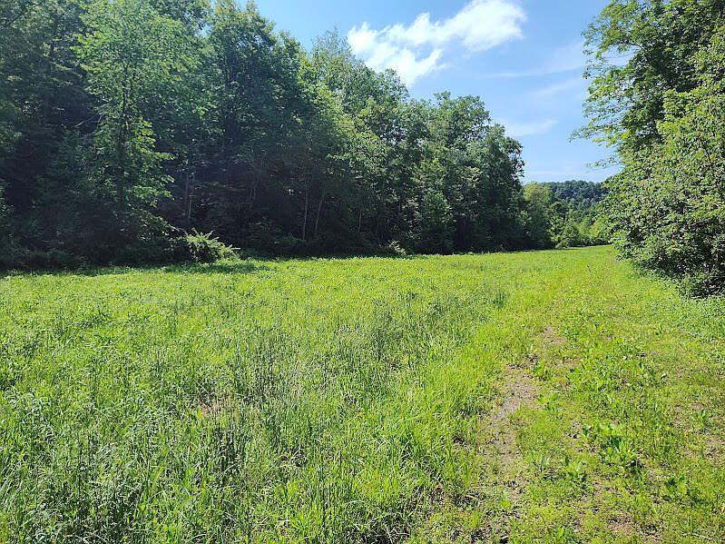 1st image of 350 Boyd Cemetery Rd