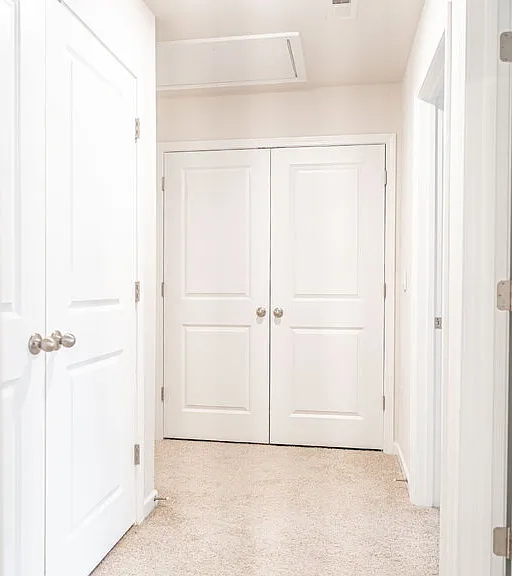3103 Alibird Ln — Photo 20