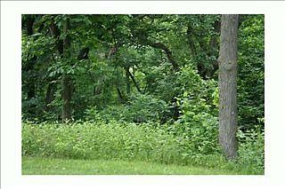 1st image of 2847 SE 64th St