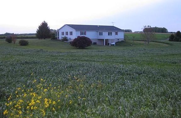 View of the back of house