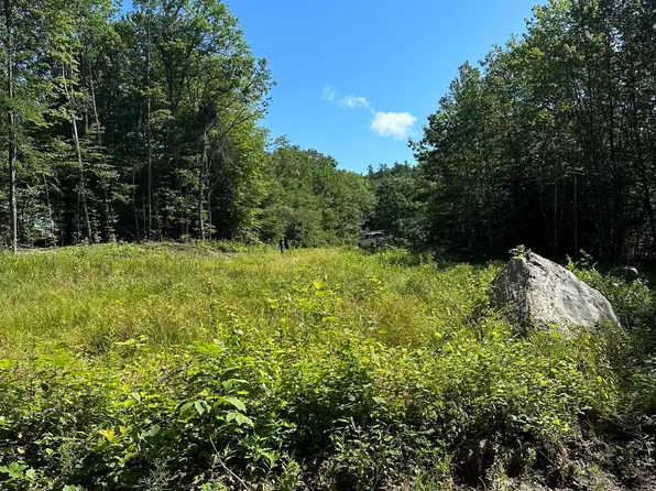 0 McMurphy Road #7, Alexandria, NH 03222