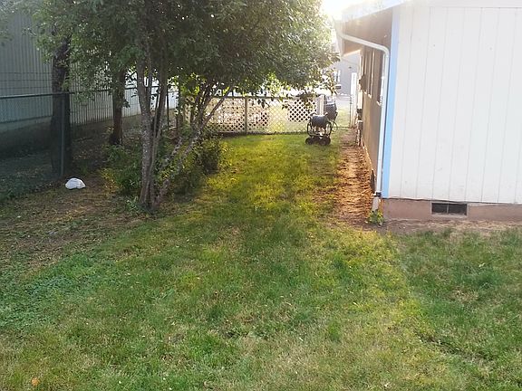 Yard with apple trees