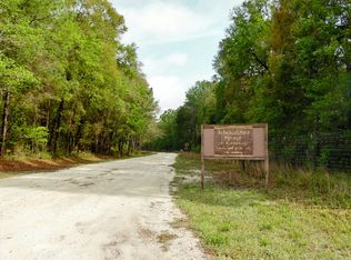 826 SW Loncala Loop, Fort White, FL 32038