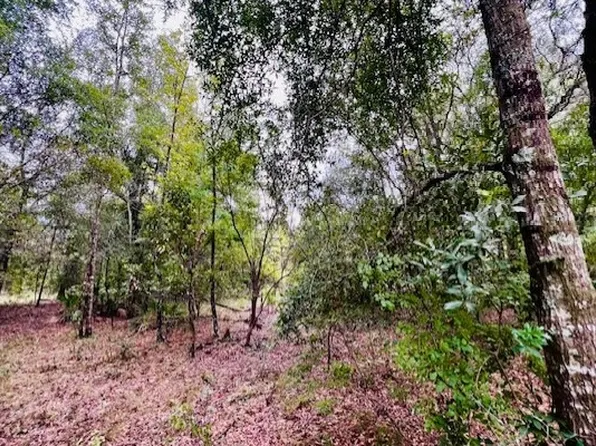 0 NW 98th Ln, Branford, FL 32008