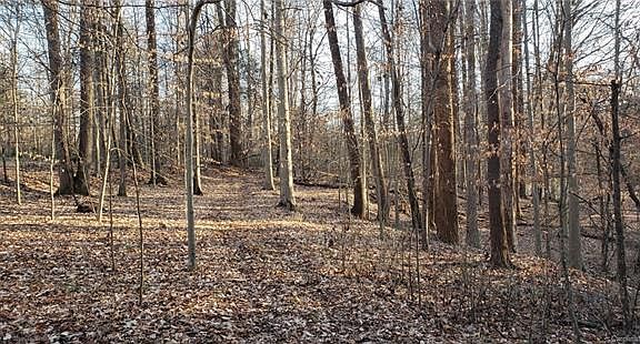 4th image of 00 Timber Creek Trl