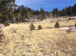 977 Plateau Rd, Guffey, CO 80820