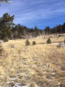 977 Plateau Dr, Florissant, CO, 80816