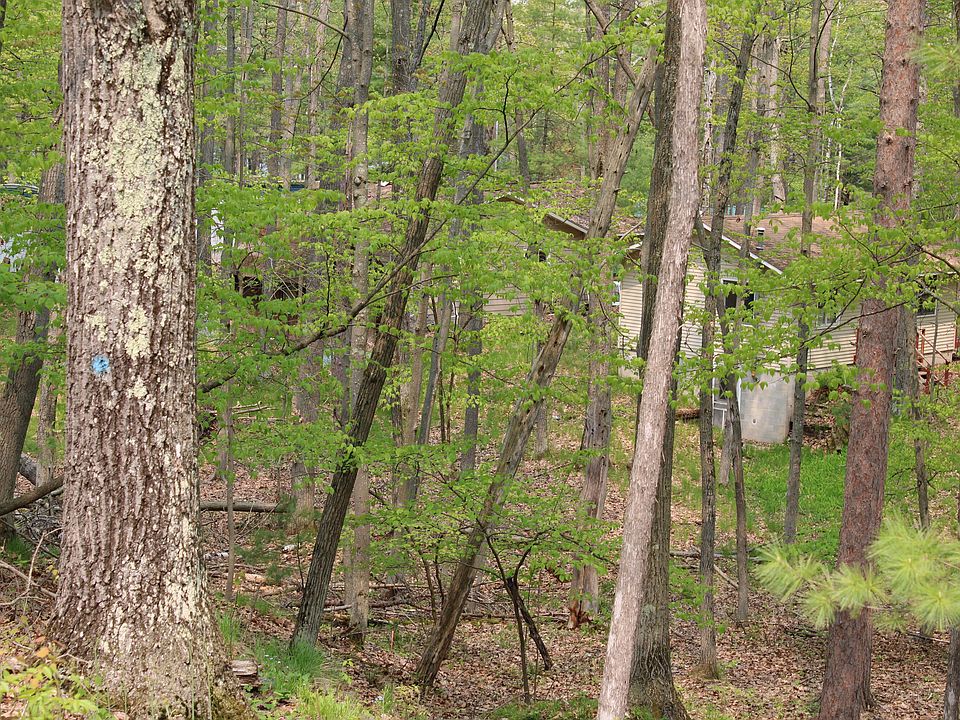 8425 Elk Rd, Curran, MI 48728 MLS 22050469 Zillow