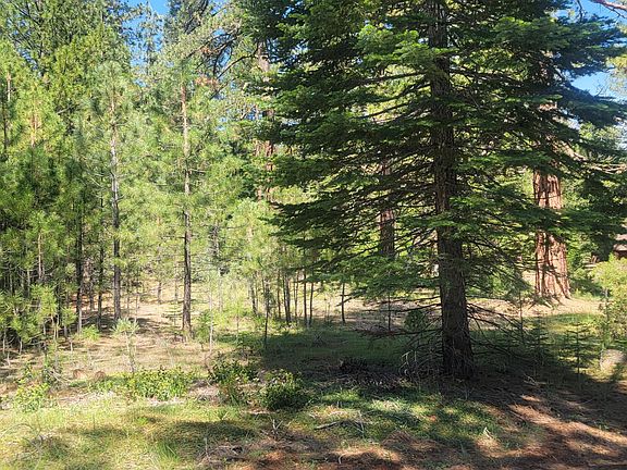 5th image of Sugarloaf Ponderosa