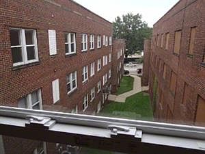 5th image of 14012 Lake Shore Blvd APT 308