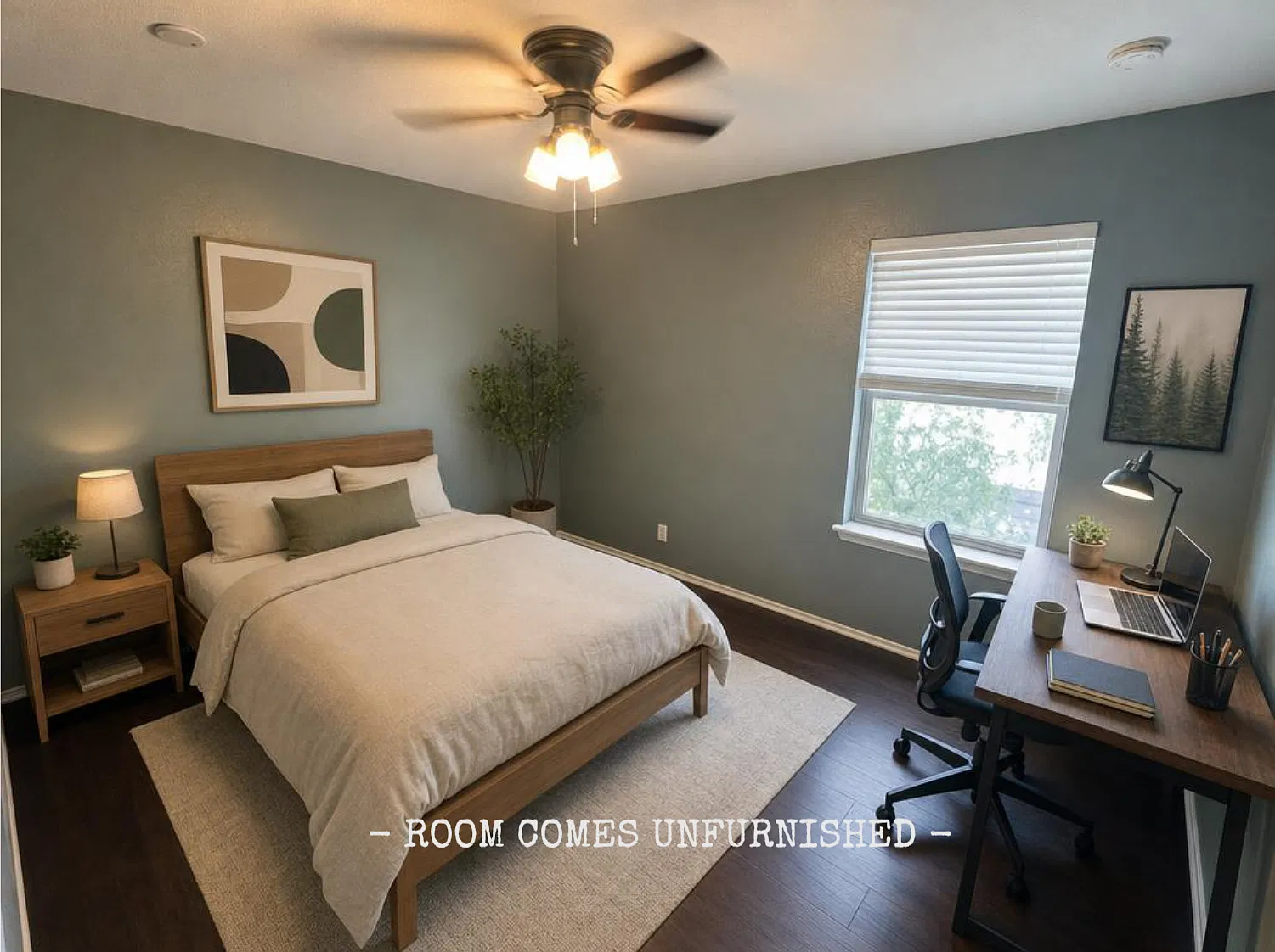 1 bed, $499 — Photo 1