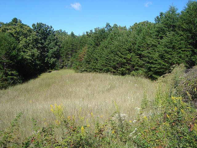 2nd image of Pond Ridge Rd