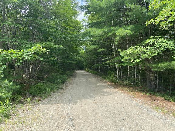 3rd image of 00 Mother Bush Trail