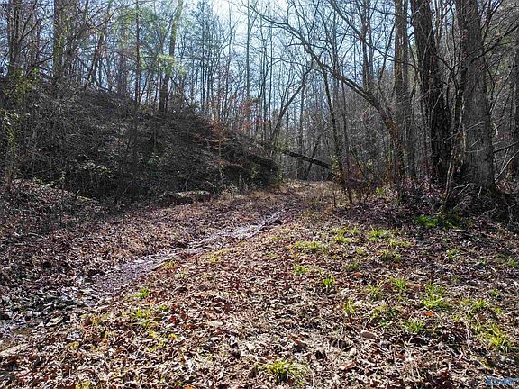 4th image of Red Hill Rd
