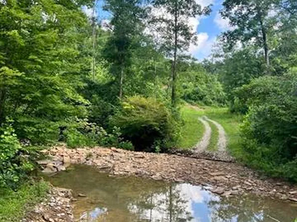 0 Straight Fork Rd, Vanceburg, KY 41179