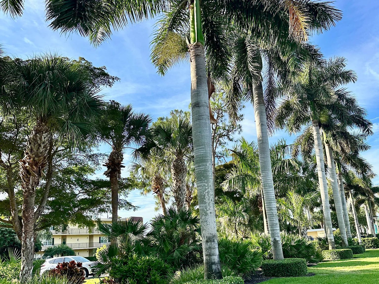 2 bed, 1110 sqft, $2,100 — Photo 4