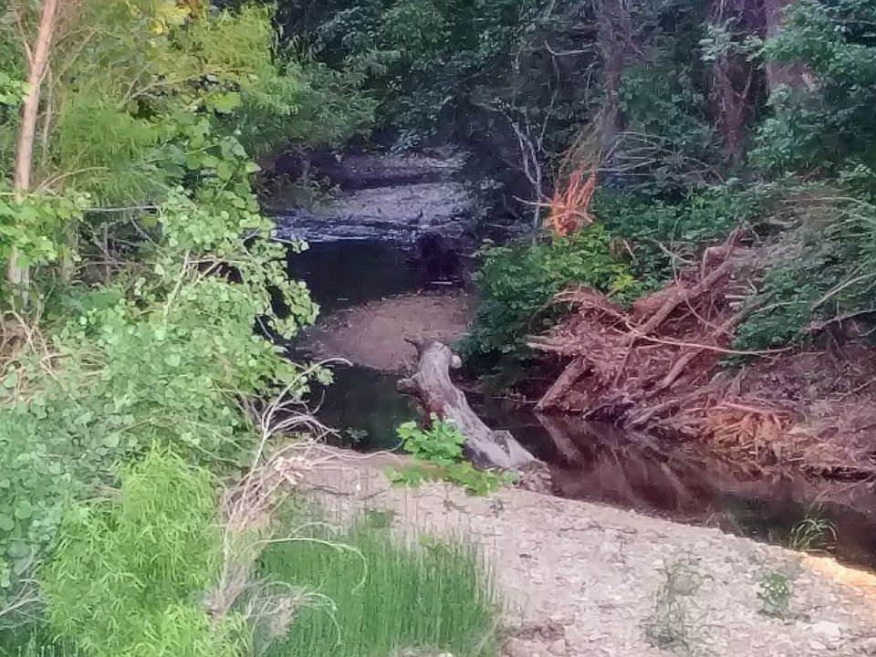 1st image of 122 Covered Bridge Dr
