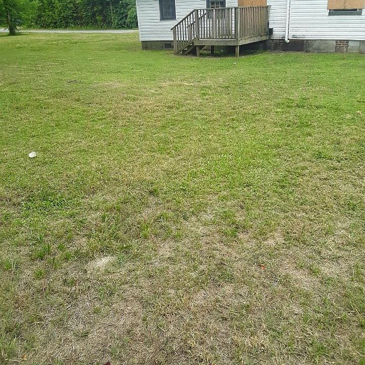 Large backyard