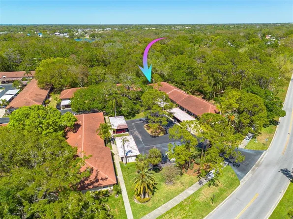 1201 Montrose Pl, Dunedin, FL 34698