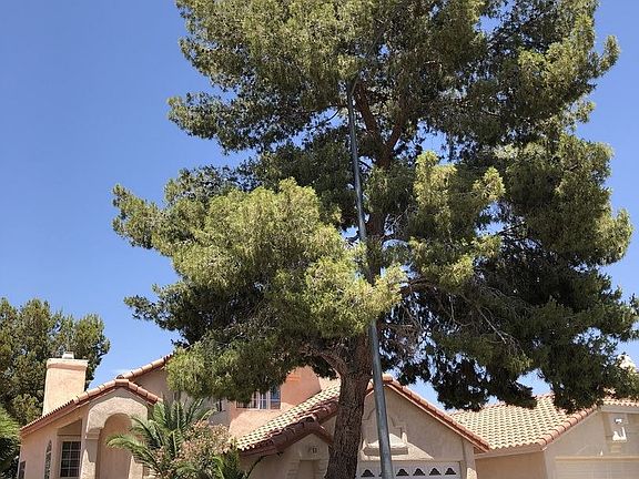 2nd image of 5254 Coral Vine Way