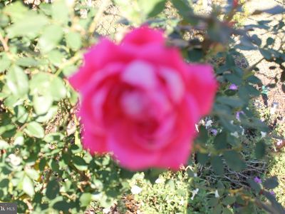 1107 Ira Ln, Churchton, MD, 20733