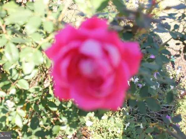 1107 Ira Ln, Churchton, MD 20733