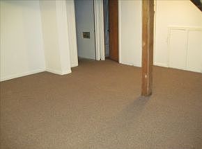 Lower Level-Family Room