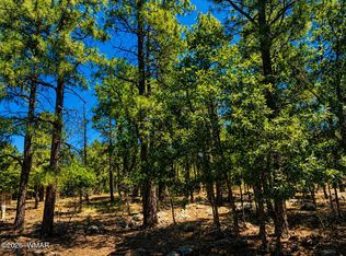 731 Pine Creek Dr, Lakeside, AZ 85929