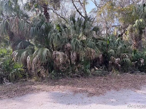 7562 N Chabaud Ter, Crystal River, FL 34428