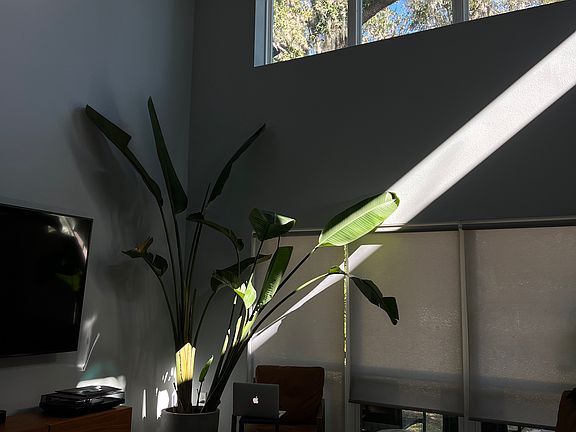 5th image of 812 Cypress Ave