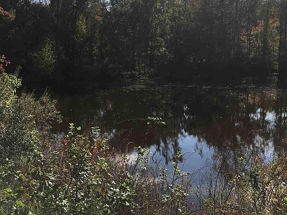 2nd image of 577 County Road 2336