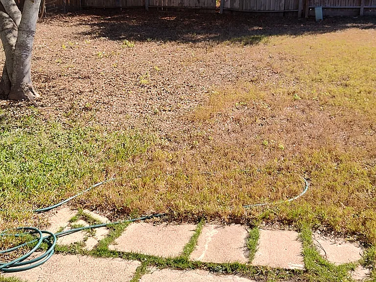 1008 Northcliff Dr — Photo 13
