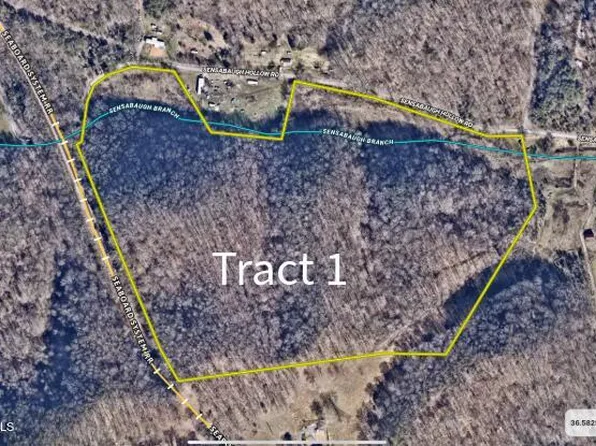 1 Sensabaugh Hollow Rd #1, Church Hill, TN 37642