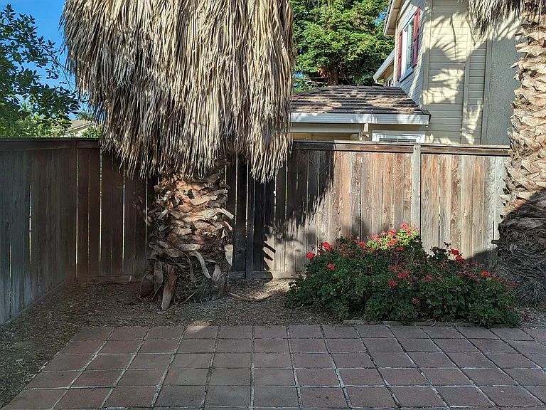 5476 Banderas Way — Photo 24
