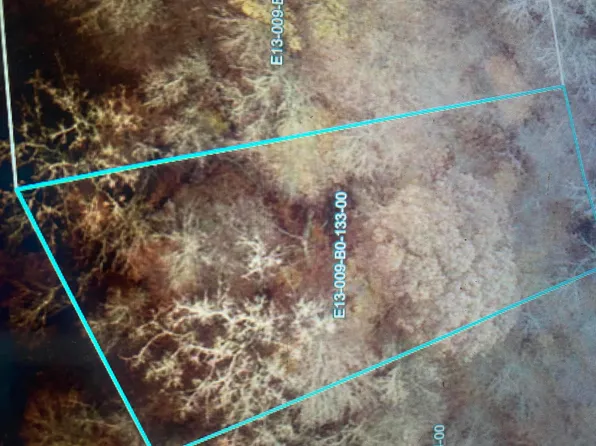 7326 State Highway 19 Lot 133, Mount Gilead, OH 43338