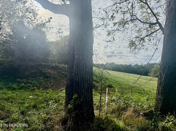 Harmon Rd, New Tazewell, TN 37825