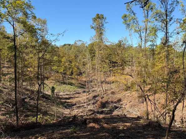 County Road 202, Blue Springs, MS 38828