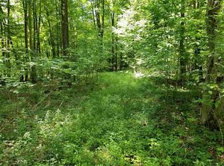 Townsend Hollow Rd, Pine Hill, NY 12465