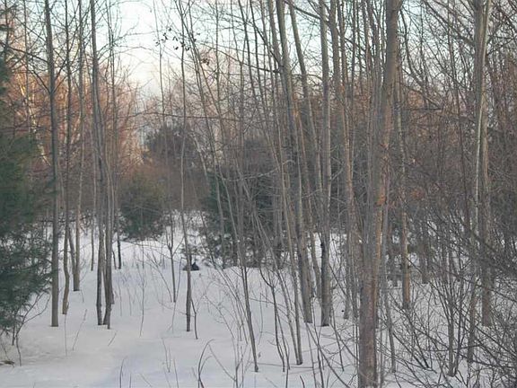 5th image of 13583 Harmony Ln